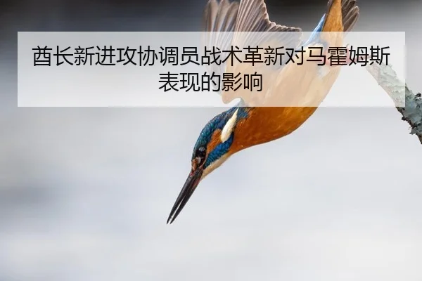 酋长新进攻协调员战术革新对马霍姆斯表现的影响