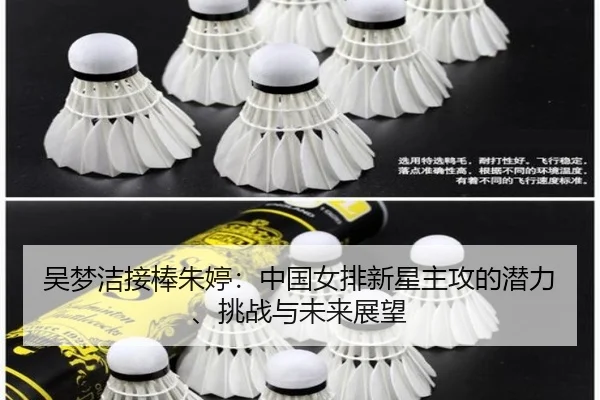 wu-meng-jie-jie-bang-zhu-ting-zhong-guo-nv-pai-xin-xing-zhu-gong-de-qian-li-tiao-zhan-yu-wei-lai-zhan-wang-2-696.jpg